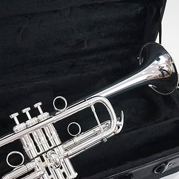 C管トランペット Brasspire Unicorn BPTRC-1000S Brasspire Unicorn BPTRC-1000S (new) C trumpet